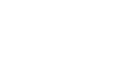 NASCAR logo - Professional racing organization