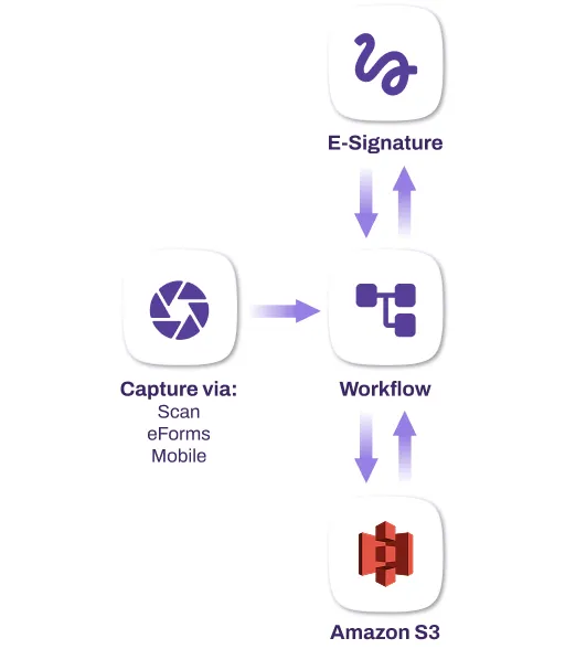 document-auto-and-security