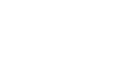 nascar logo